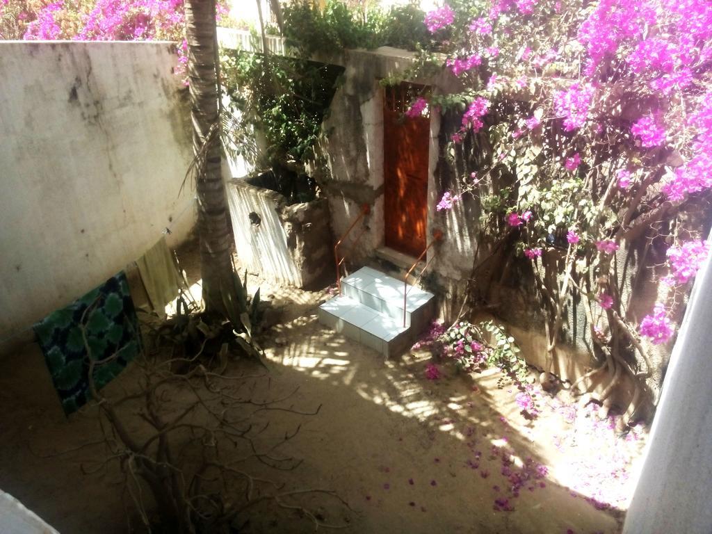 Guesthouse Dalal Ak Jamm M'Bour Exteriér fotografie